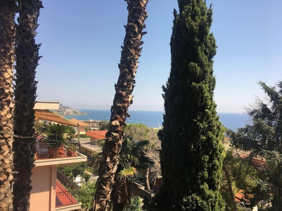 Lemon Tree Apartment - Garden, Sea View, Wifi Σαν Ρέμο Εξωτερικό φωτογραφία